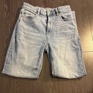 American Eagle Outfitters Blue Denim Shorts
